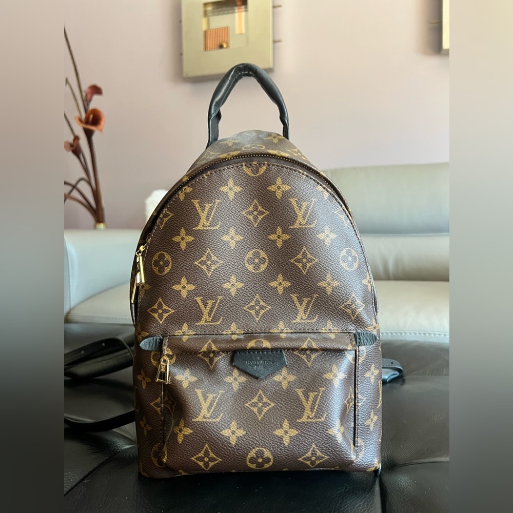 Louis Vuitton Palm Springs PM Backpack